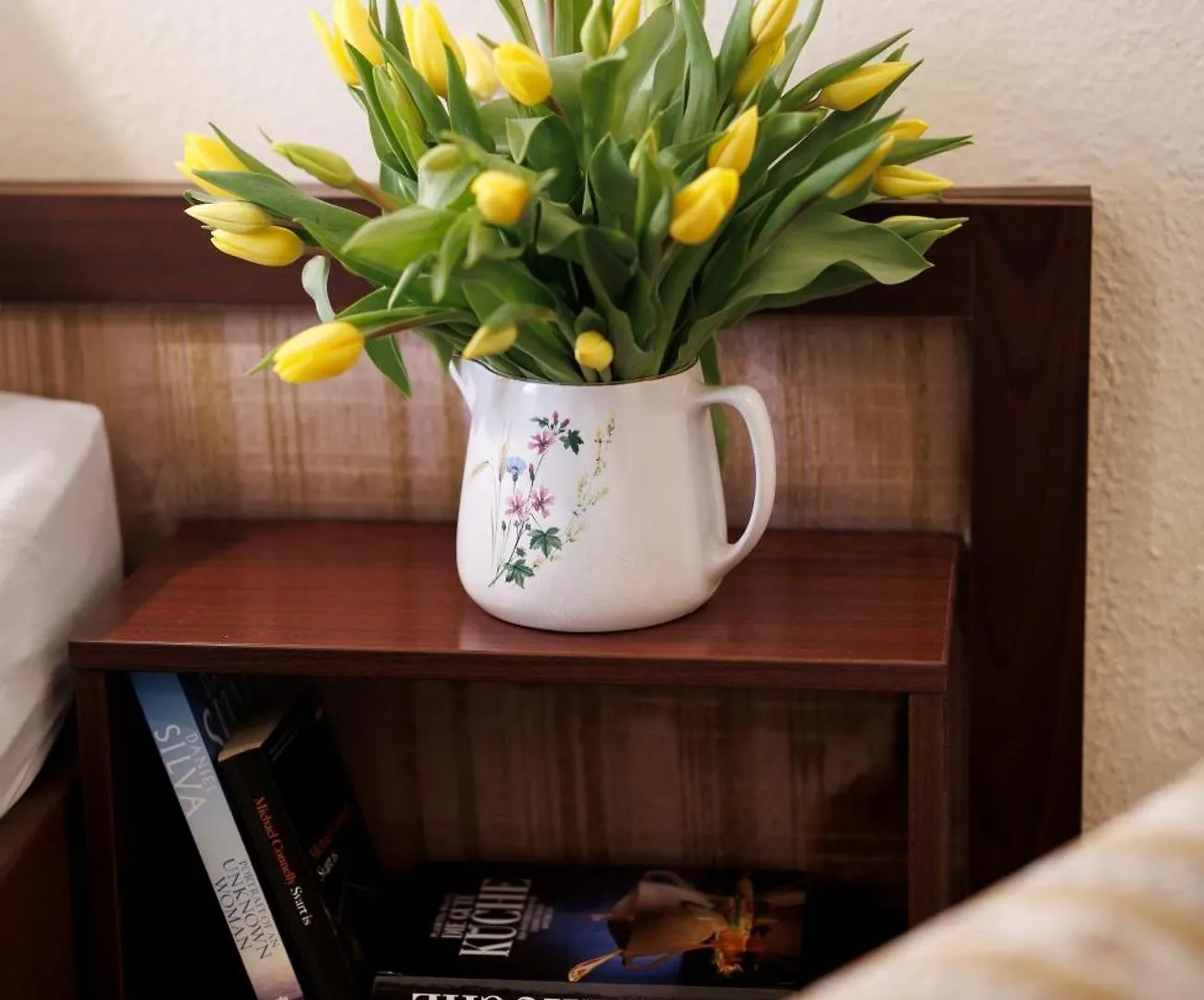 Bed and breakfast Hotel pensión Continental Viena